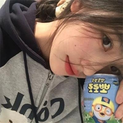 托梅斯的导盲犬